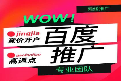 百度竞价推广在电商领域的赚钱案例